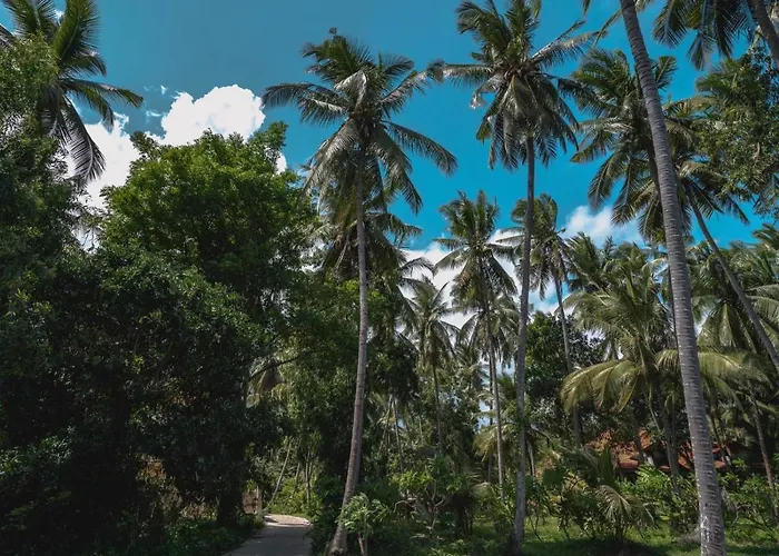 Bahari Tejakula